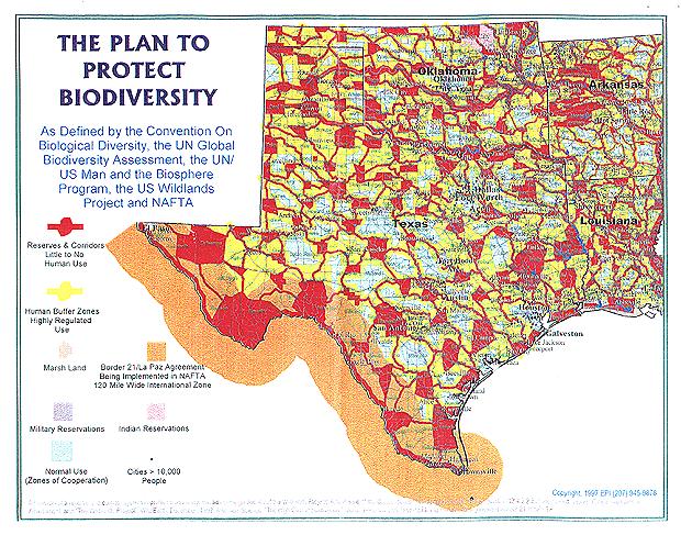 The Plan to Protect Biodiversity (.jpg, 113K)